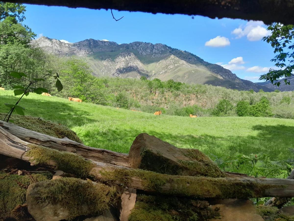 Hotel Rural El Secreto De Julia Ríoseco Dış mekan fotoğraf