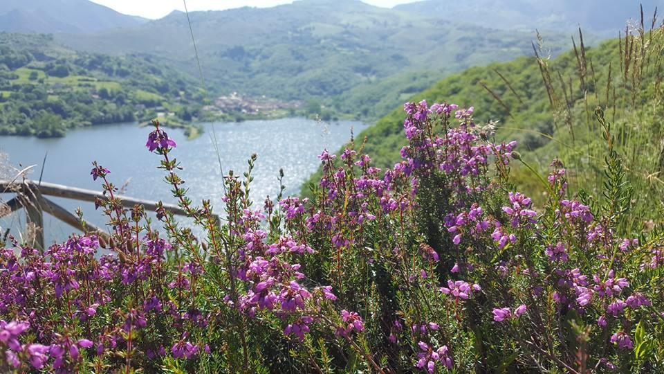Hotel Rural El Secreto De Julia Ríoseco Dış mekan fotoğraf
