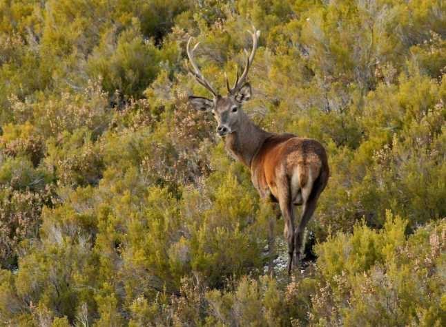Hotel Rural El Secreto De Julia Ríoseco Dış mekan fotoğraf